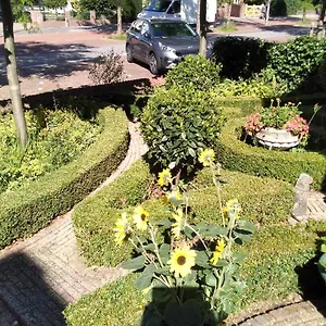 https://studio-casa-super.zandvoort-hotels.com